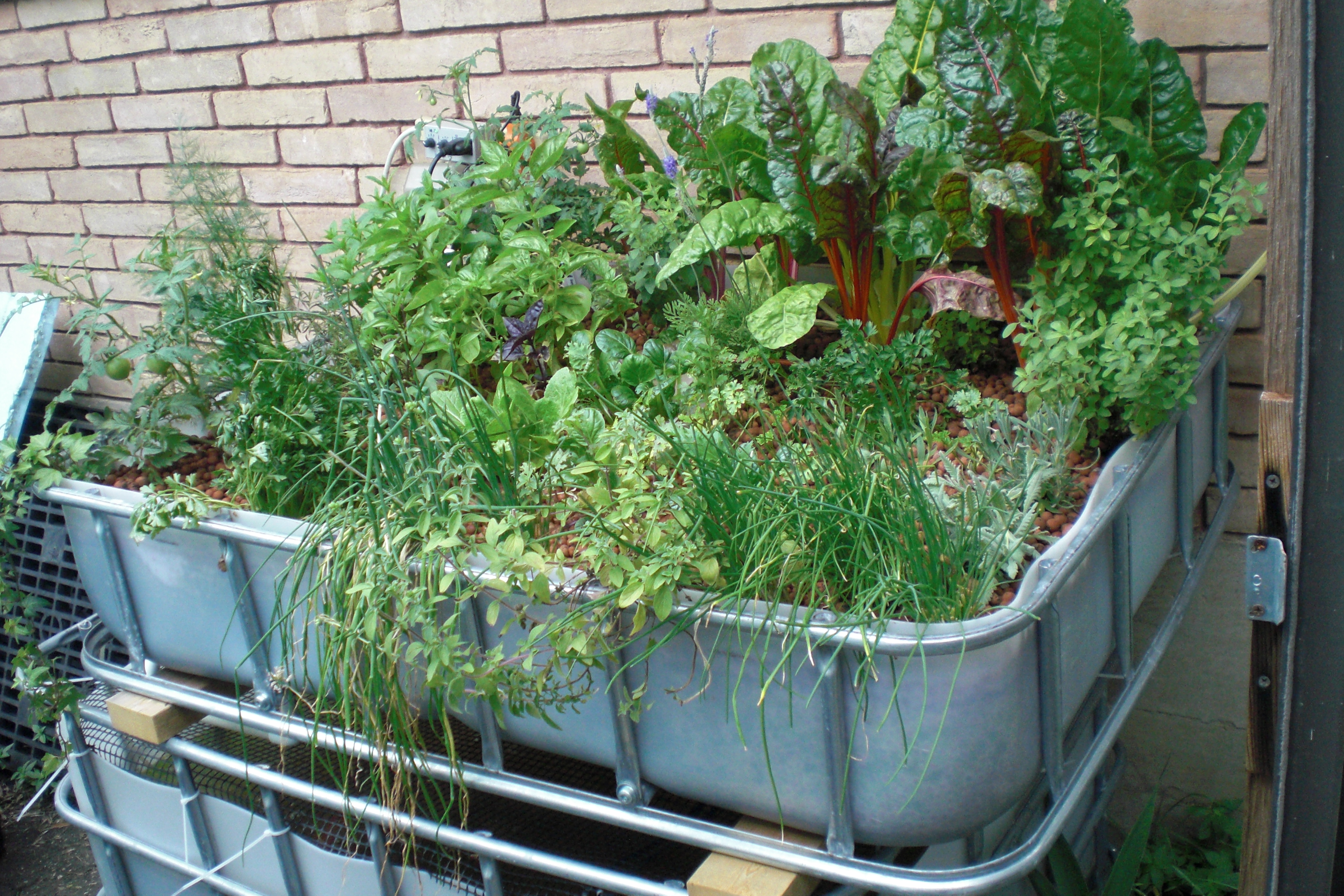 AQUAPONICS - Brite Ideas Aquaponics, Hydroponics ...