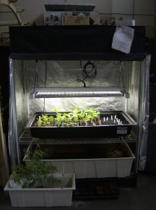 Hydroponics-Display-bright-ideas – Brite Ideas Aquaponics, Hydroponics ...